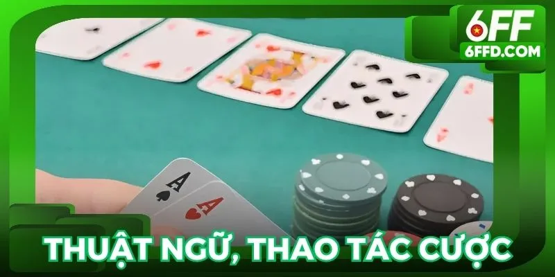 Chúng ta cần tìm hiểu kỹ thuật ngữ, luật cũng như thao tác cược