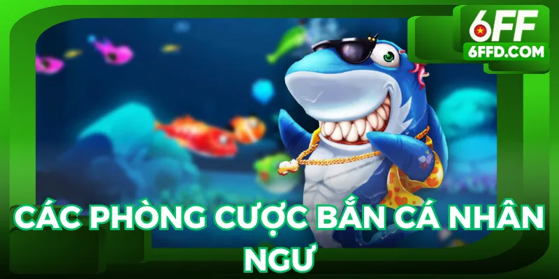Cần chọn phòng cược khi tham gia 6FF cho hợp lý