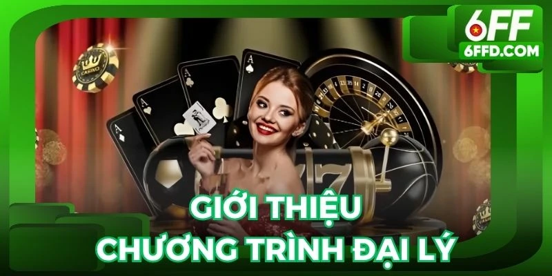 Chương trình tìm kiếm đại lý 6FF cùng phát triển thương hiệu
