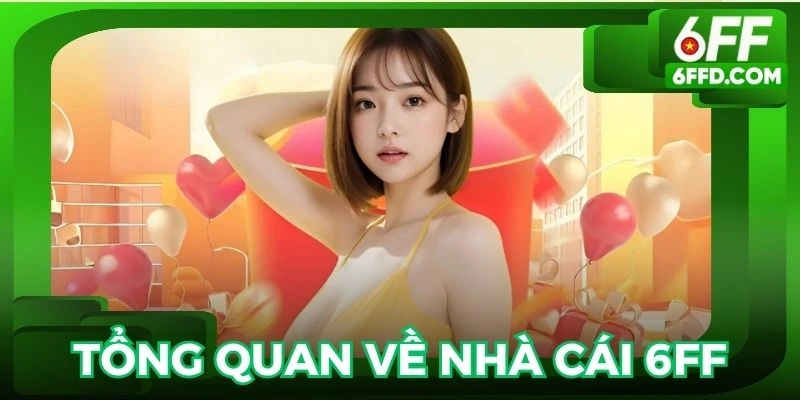 Giới thiệu về 6FF một cách tổng quát nhất